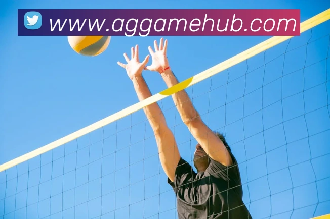 AG真人游戏平台APP 封面图